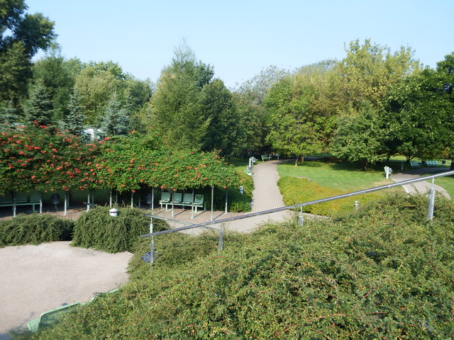 Ботанический сад на крыше библиотеки в Варшаве