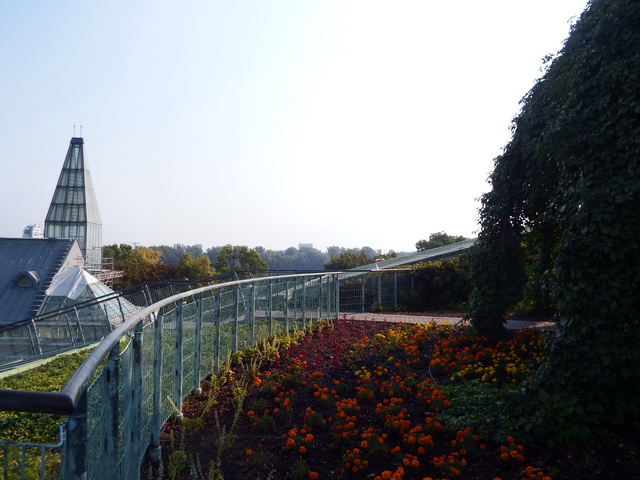 Ботанический сад на крыше библиотеки в Варшаве